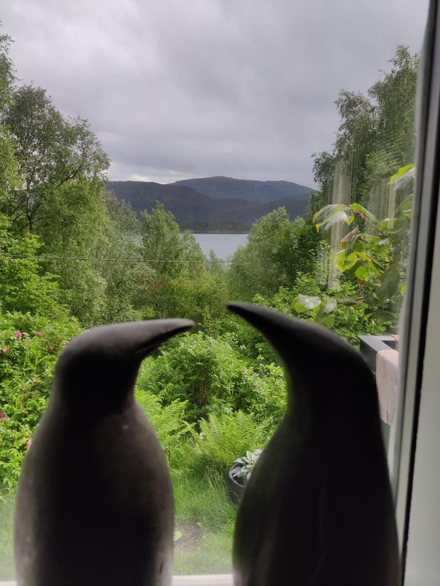 Fjord Peace Villa Skodje Ngoại thất bức ảnh